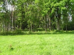 Hügelgrab Hügelgrab