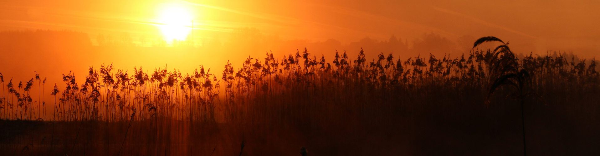 Header Langfurth - Sonnenaufgang