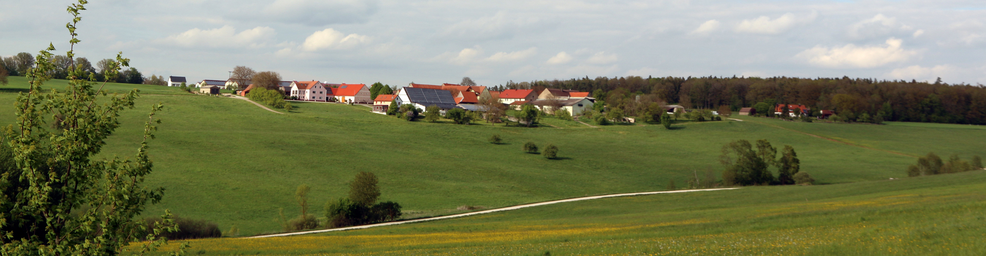 Kurt Pachl – Header - Schlierberg